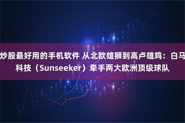 炒股最好用的手机软件 从北欧雄狮到高卢雄鸡：白马科技（Sunseeker）牵手两大欧洲顶级球队